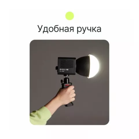 Raylab RL-40BI 2500-6500K 40W 3400mAh Осветитель светодиодный c аксессуарами