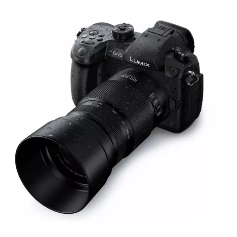 Объектив Panasonic Lumix G Vario 100-300mm f/4-5.6 II POWER O.I.S. (H-FSA100300)