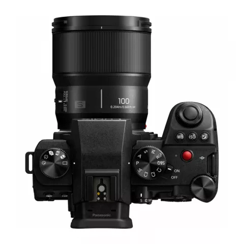 Panasonic Lumix S 100mm f/2.8 Macro Lens (Leica L)