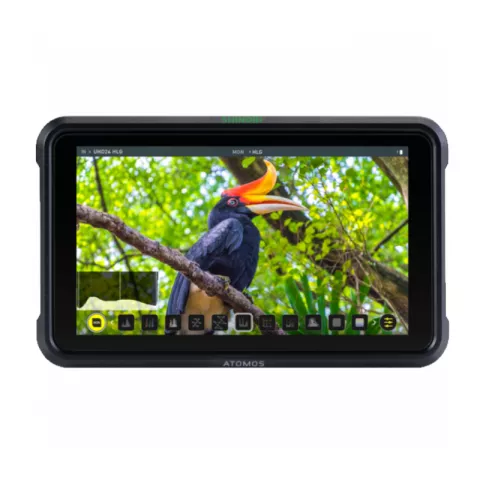 Видеомонитор Atomos Shinobi HDMI