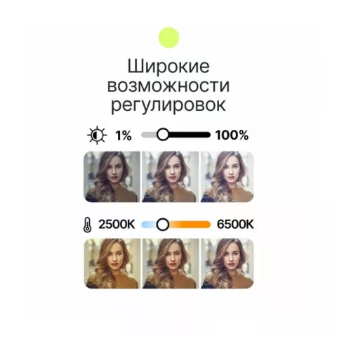 Raylab RL-LED08BI-2 2500-6500K 3100mAh Осветитель светодиодный
