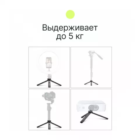 RayLab MT-TM Штатив компактный