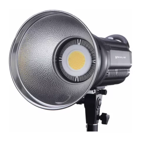 Raylab RL-100 Sunlight 3200-6500K Осветитель светодиодный